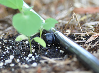 لوله قطره ای